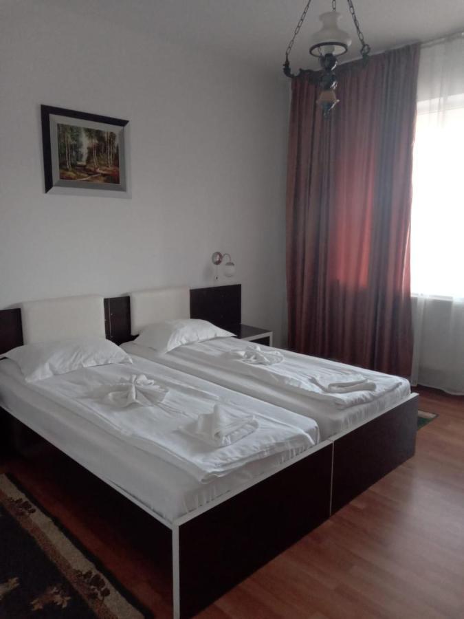 Hotel Turist Pucioasa Dış mekan fotoğraf
